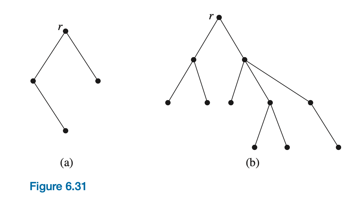 Tree and Their Representations